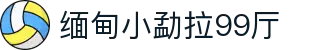 缅甸小勐拉99厅-触手可及的欢乐宇宙！